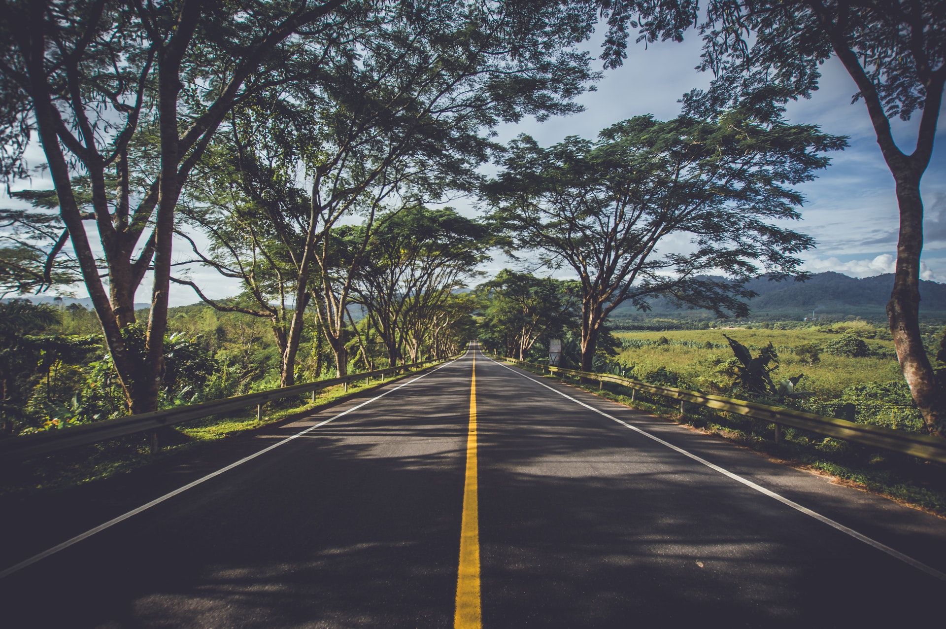 asphalt-environment grass highway